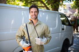 Lawn Pest Control in Sandoval, IL